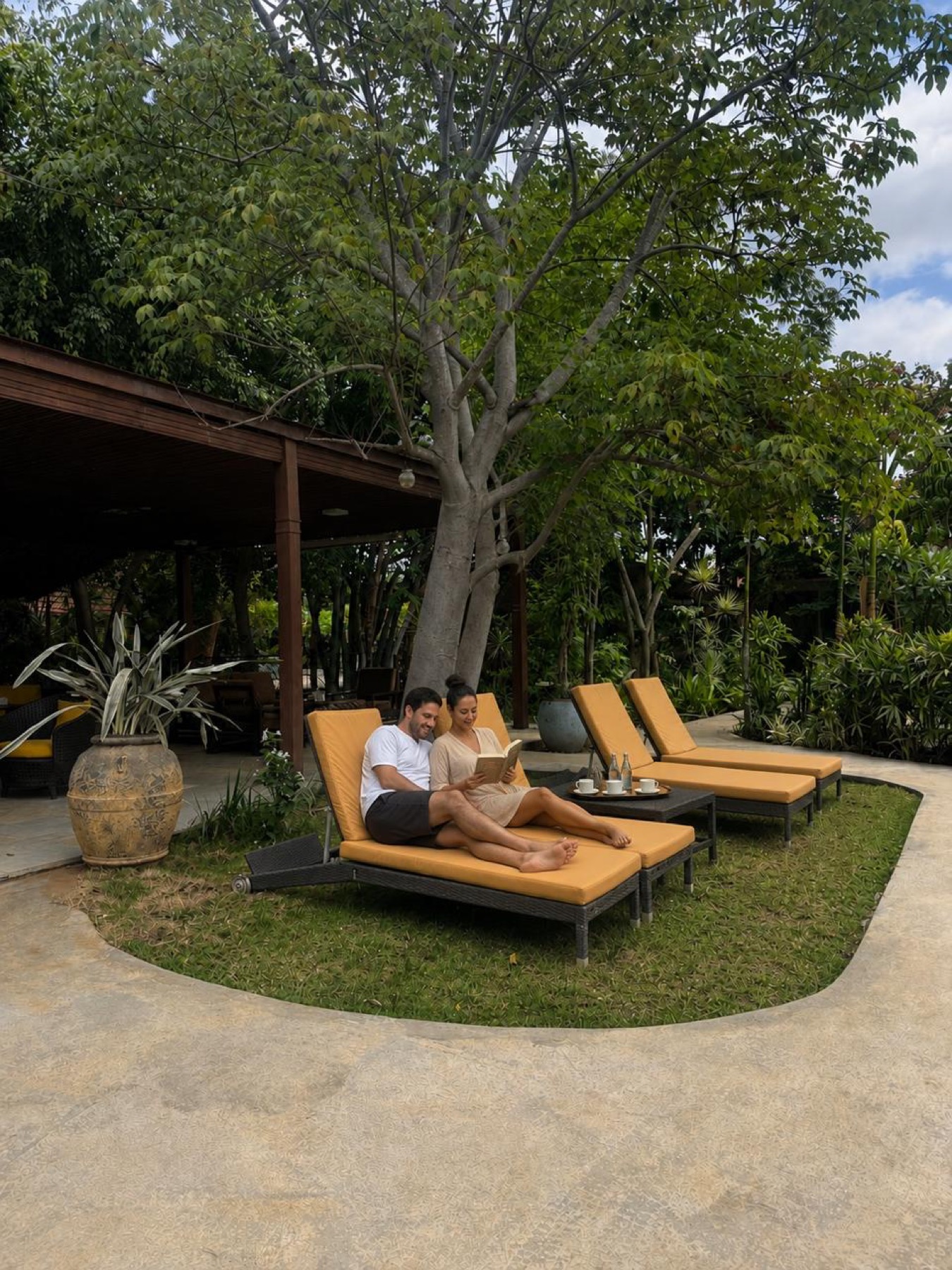 Loungers set under a large living tree at Orchid Tree, the estate kept green and shaded