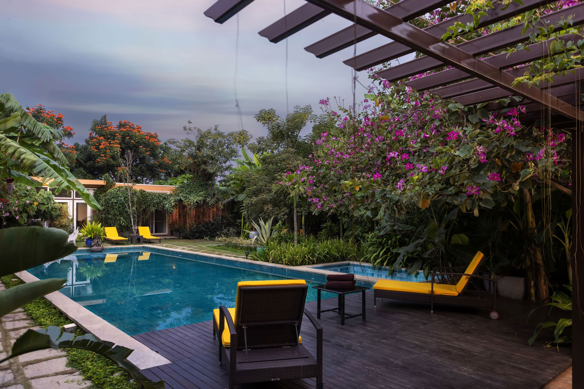 The ozone-treated pool and gardens at Orchid Tree